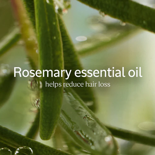 Anti-Hair Loss Treatment - Image 7
