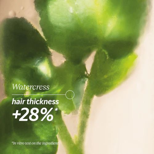Anti-Hair Loss Treatment - Image 8