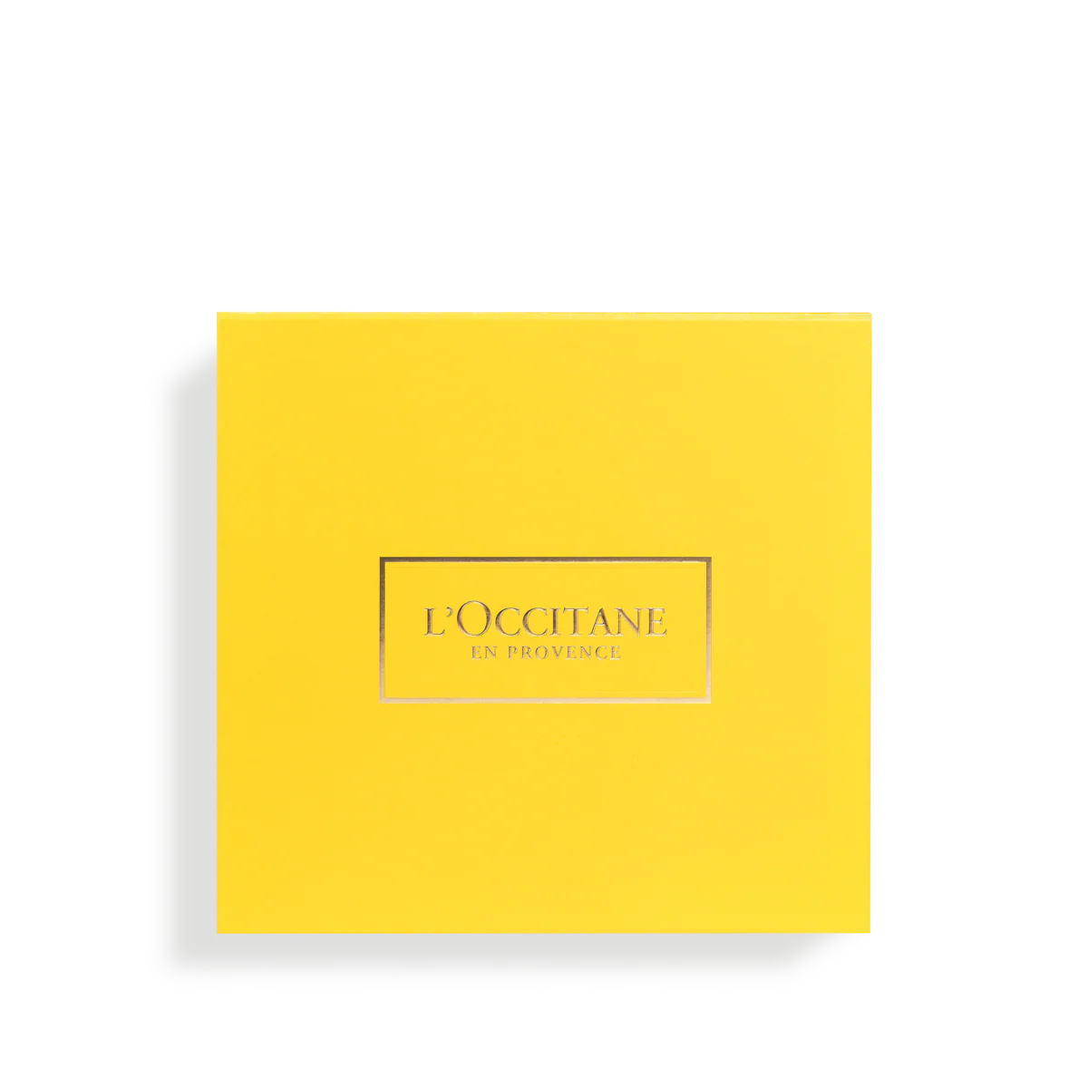 Gift Box (Medium)