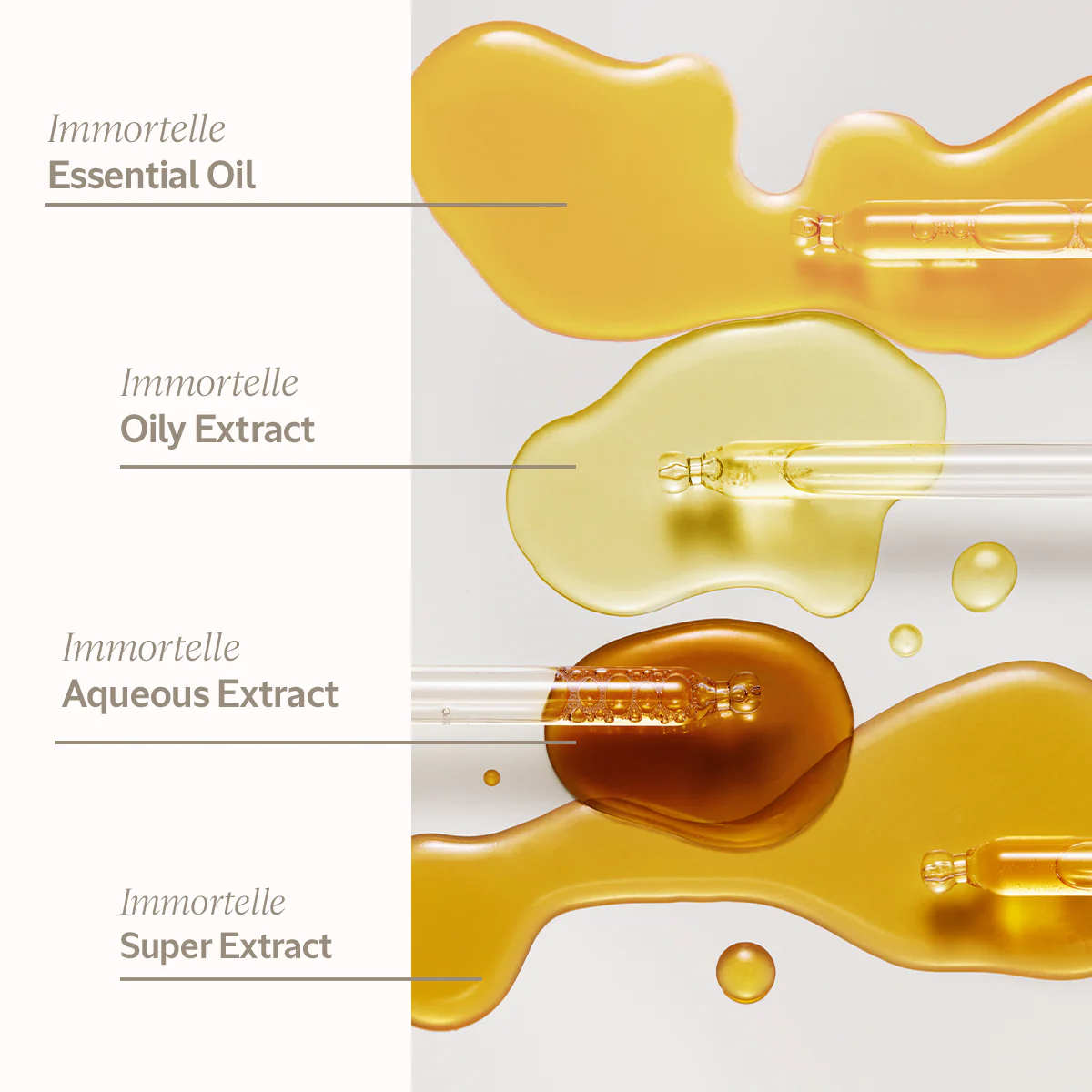 Immortelle Divine Cream - Image 5