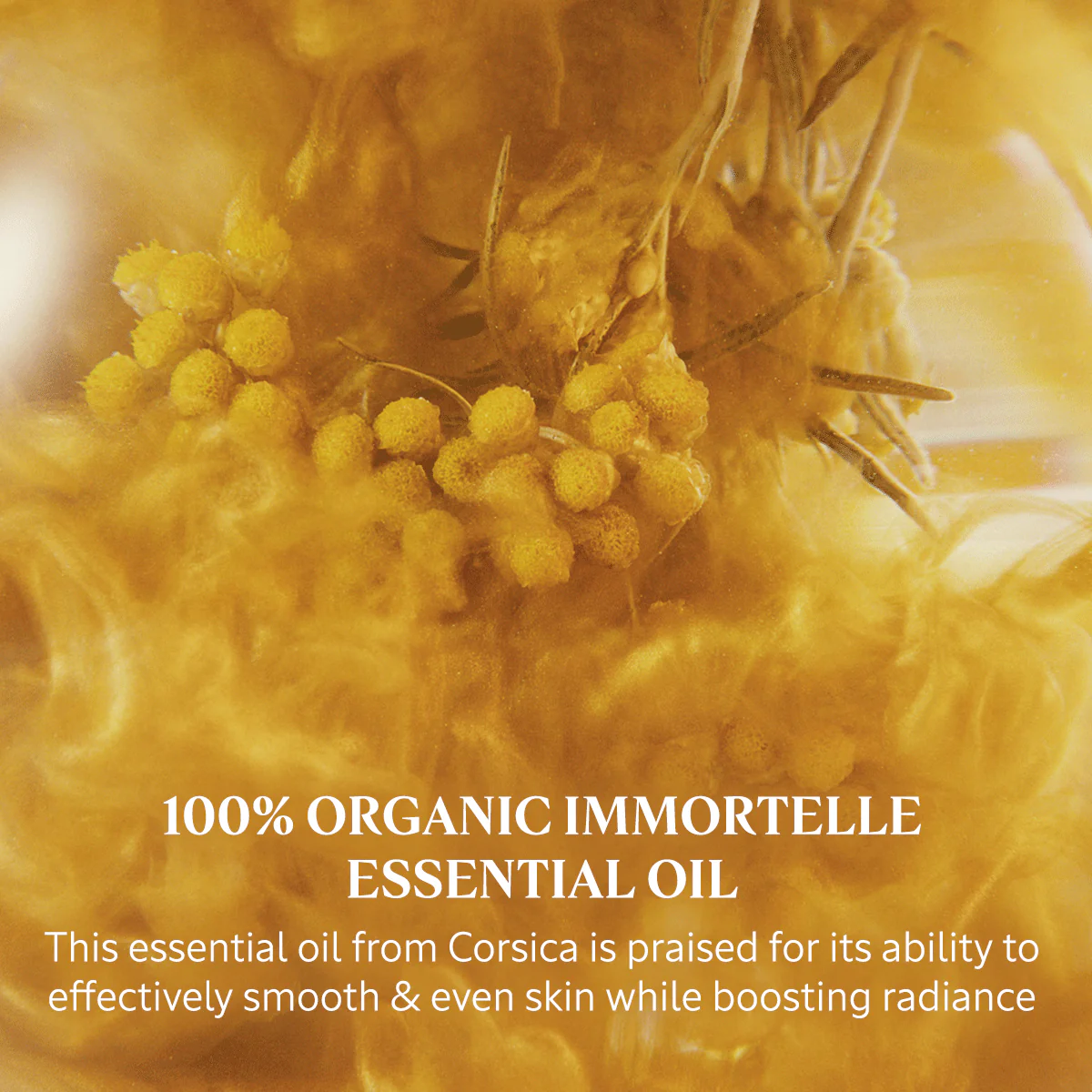 Immortelle Divine Cream - Image 7