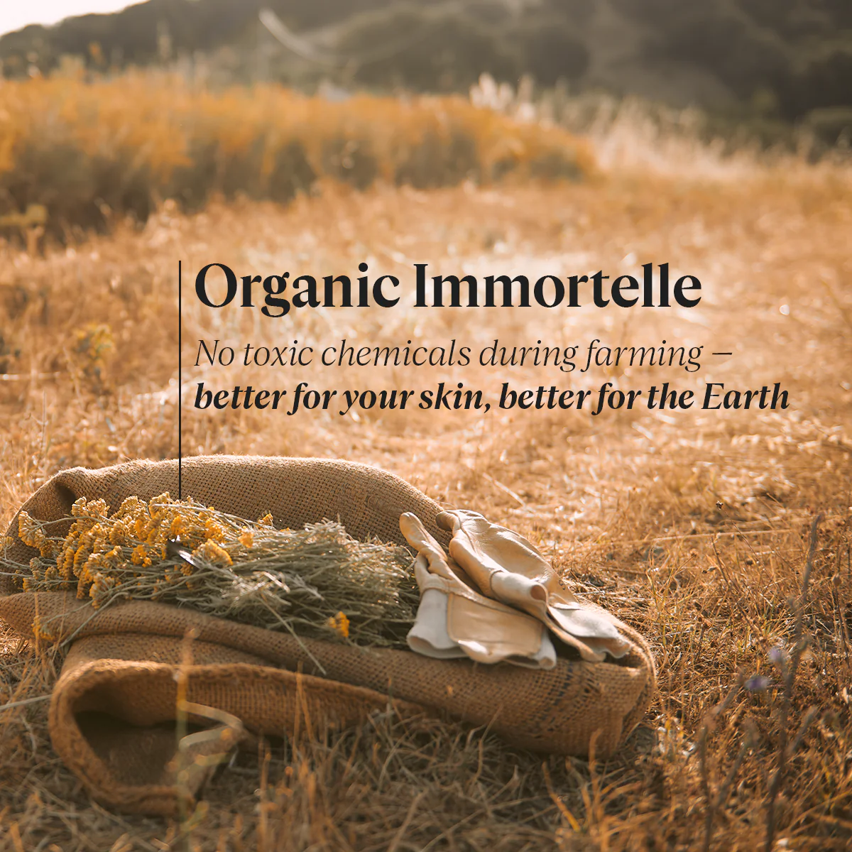 Immortelle Divine Youth Oil - Image 8