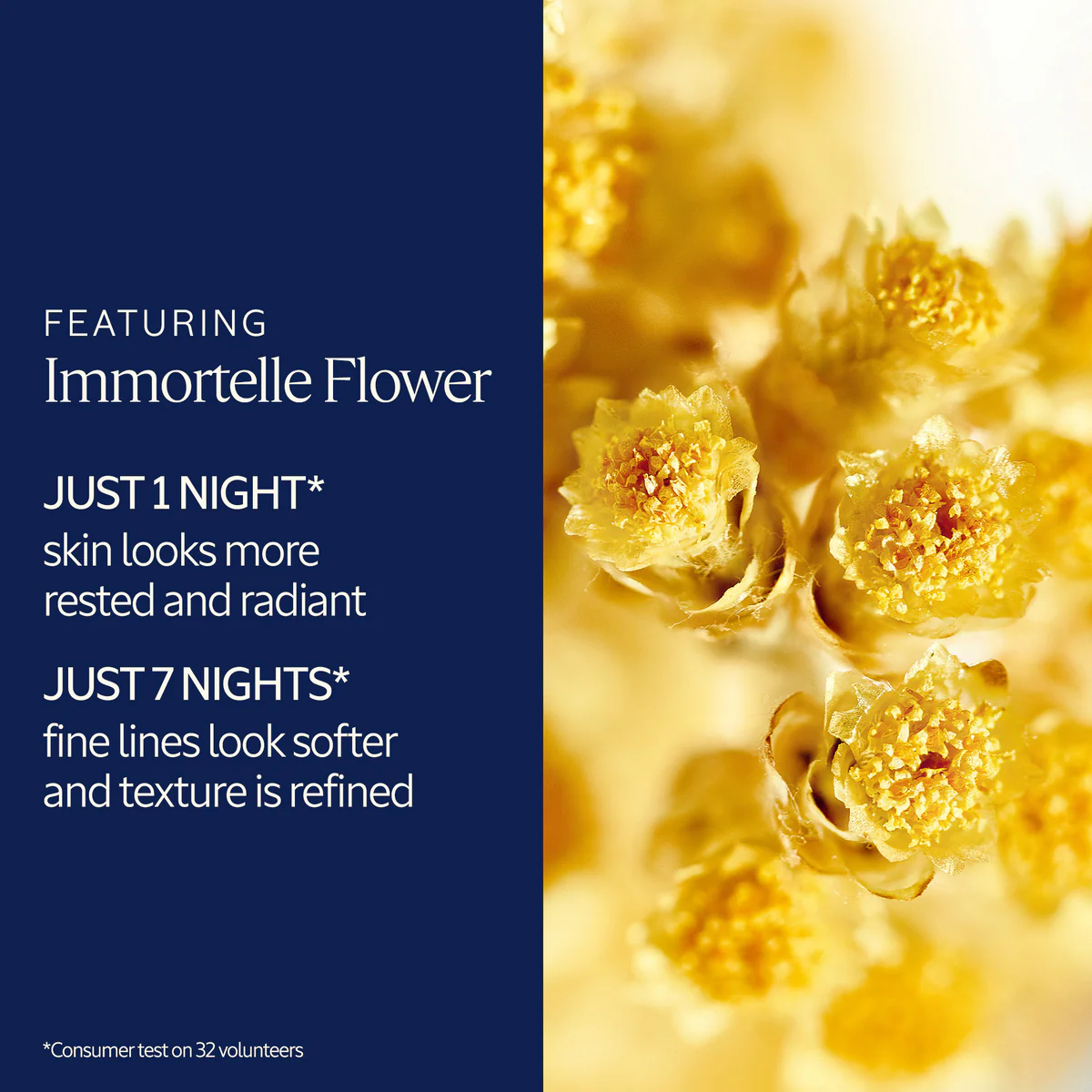 Immortelle Overnight Reset Oil-in-Serum - Image 11