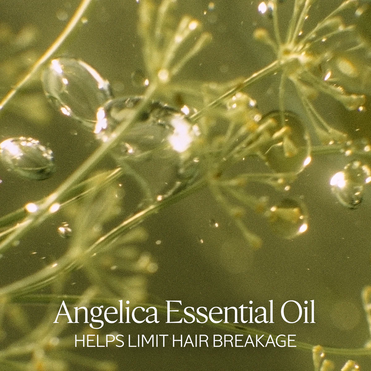 Intensive Repair Shampoo - Image 5